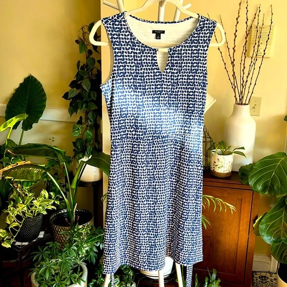 ann taylor blue and white dress Ann Taylor Loft Blue and White Stripped Dress with Straps Size 8 SKU 0 Designers On A Dime